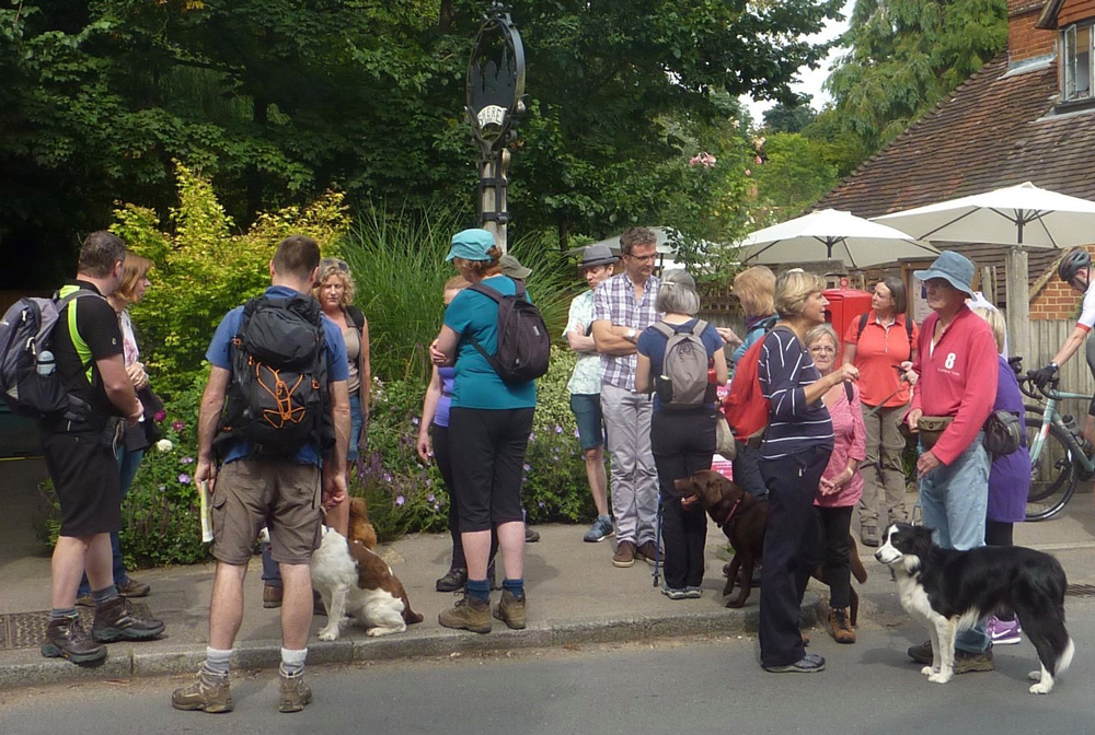 Walk in Shere, August 2019 Walk in Shere, August 2019